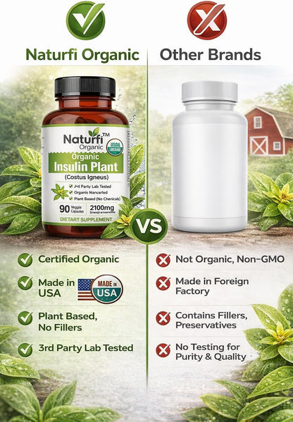 Naturfi Organic Insulin Plant Capsules (Costus Igneus) - Certified Organic, 90 Veggie Caps