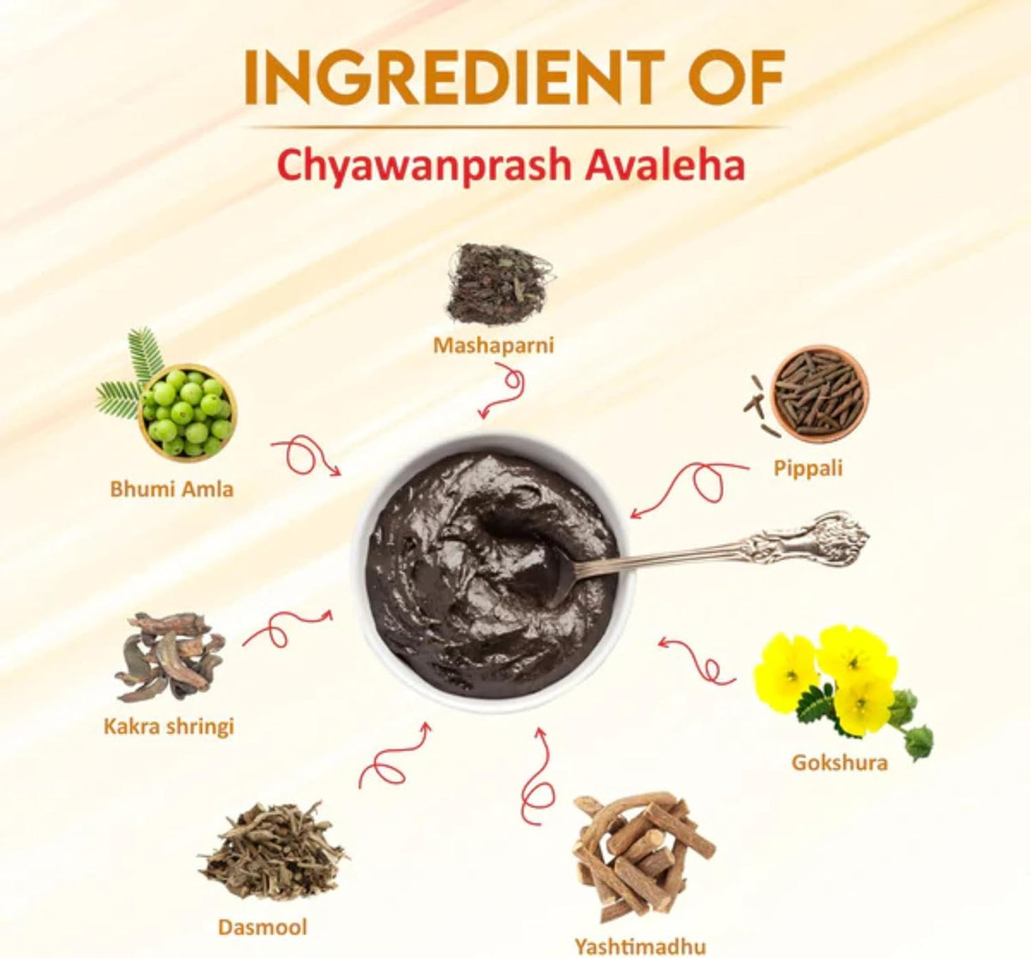 Swadeshi Chyawanprash Avaleha – Classic Ayurvedic Herbal Paste, 1kg - görsel 1