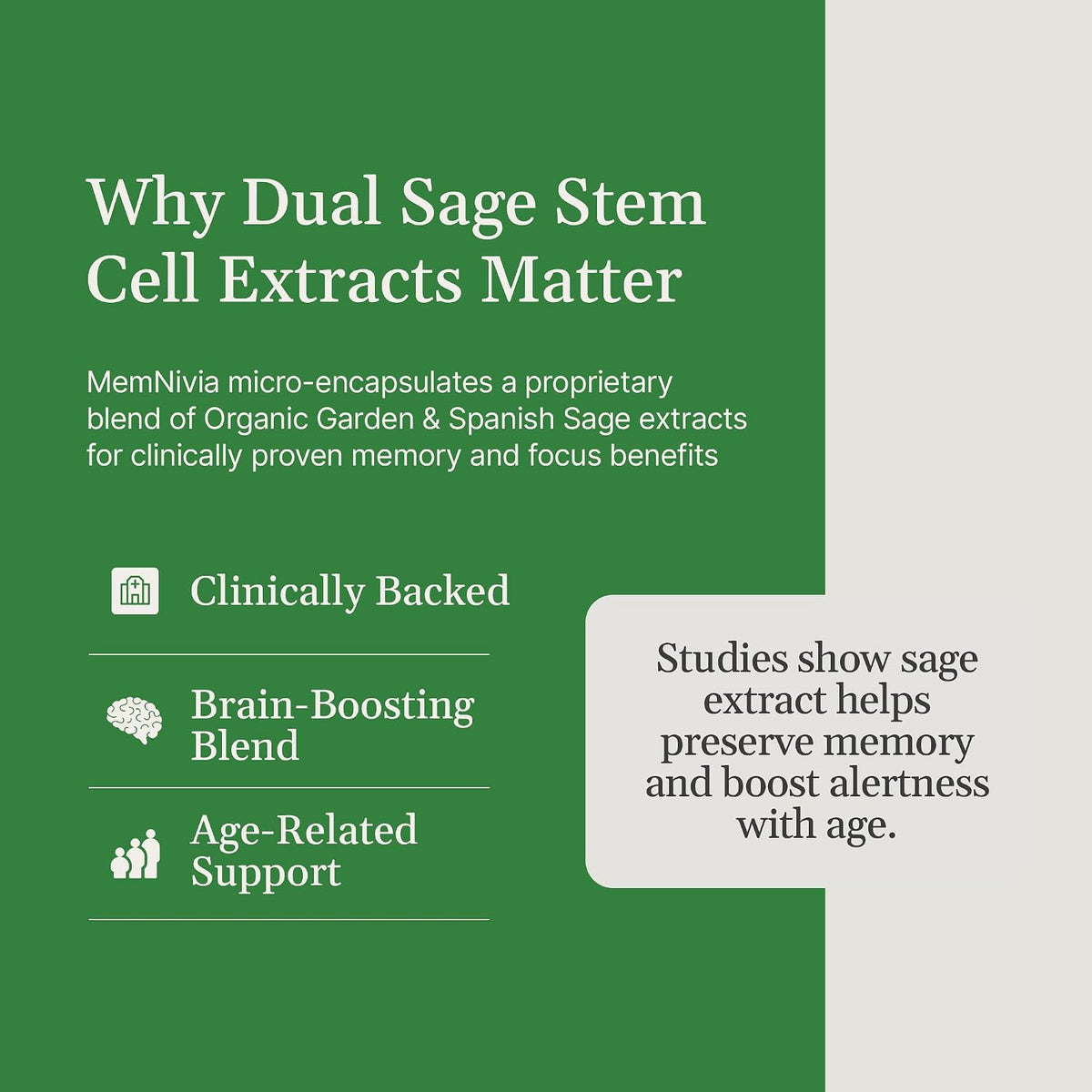 MemNivia Brain Supplement for Memory & Focus – Dual-Sage Stem Cell Formula with Cognivia, Bacopa, Holy Basil & Ginger – 60 Capsules - görsel 2