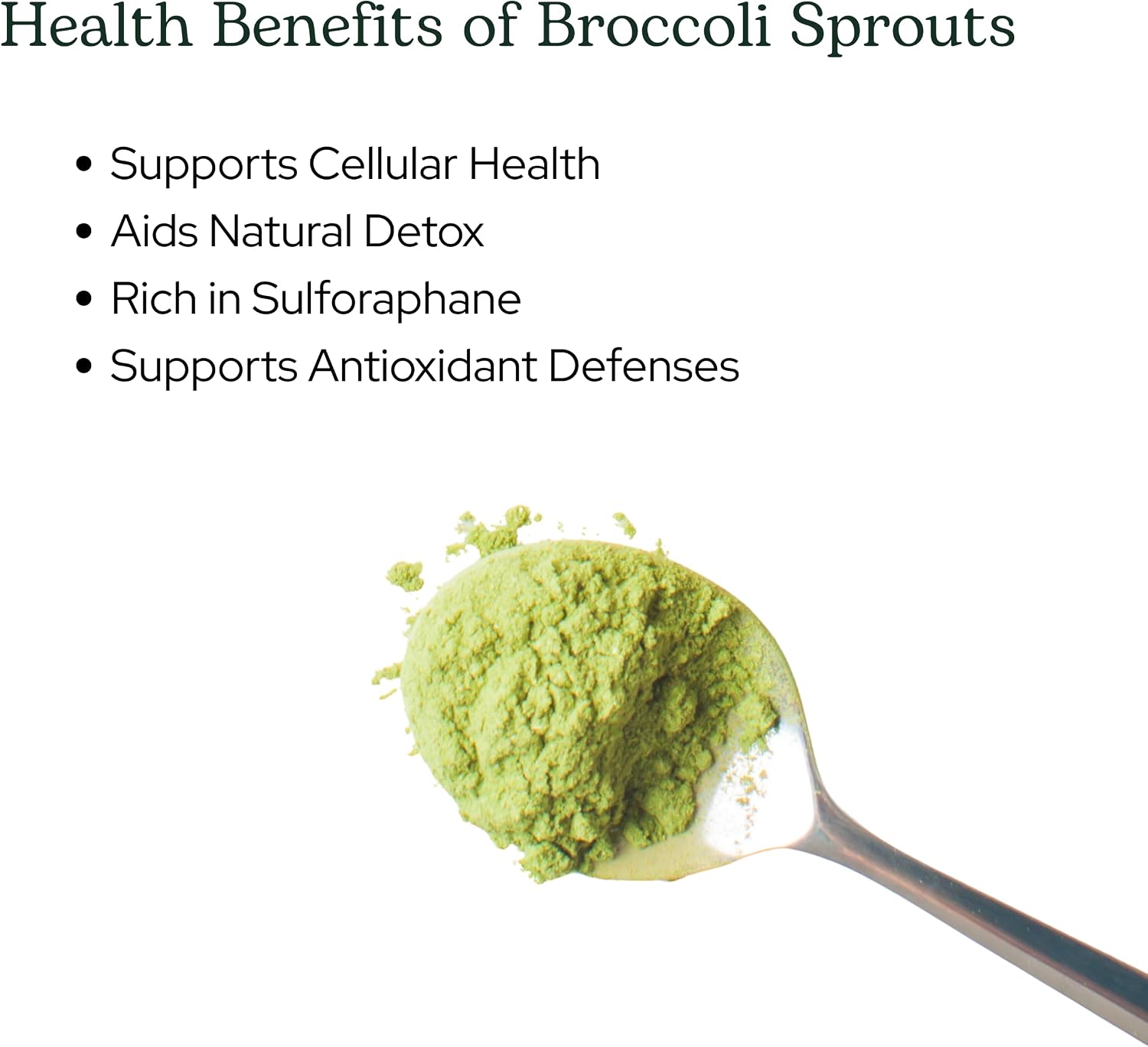 Eclectic Herb – Broccoli Sprouts Powder, Organic, Freeze-Dried, 122g - görsel 4