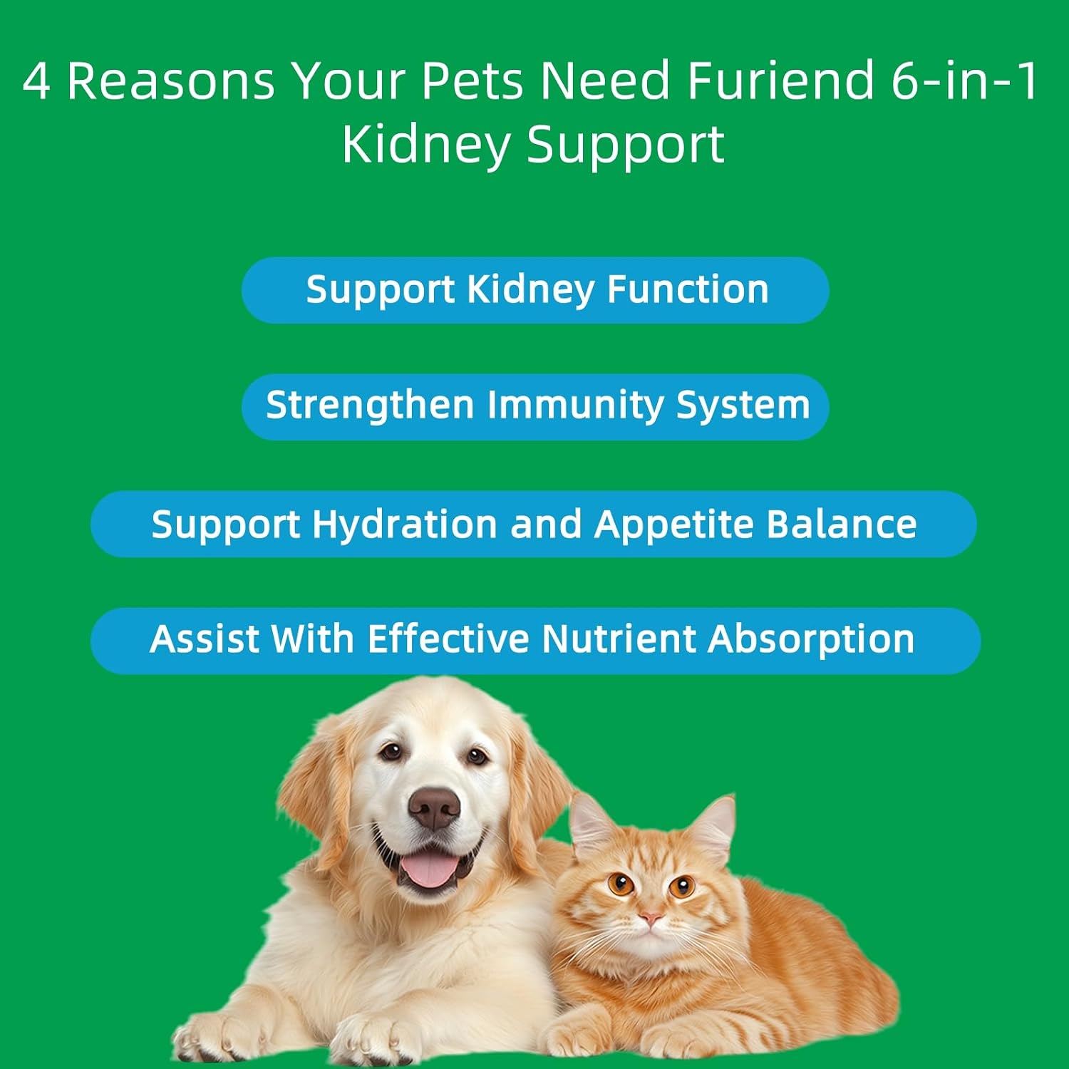FURIEND Veterinary Formulated Kidney Support for Cats & Dogs - 6-in-1 Liquid with Herbal Blend & Vitamin B Complex - Bacon Flavour - 2 fl oz (59 ml) - görsel 2