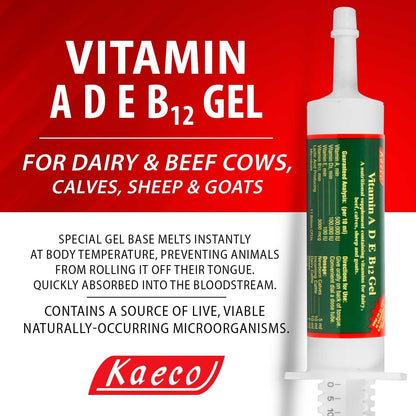 Kaeco Vitamin Ade B12 Oral Gel - 80 ml