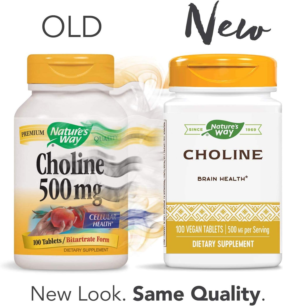Nature's Way Choline, 500 mg per serving, 100 Tablets (Pack of 2) - görsel 2