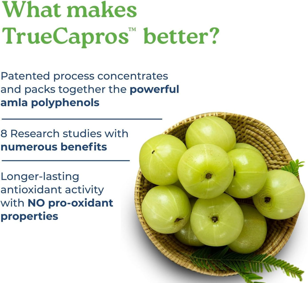True-Capros Amla Fruit Extract – Polyphenol-Rich for Cardiovascular Support (60 Vegetable Capsules) - görsel 2