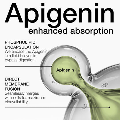 Liposomal Apigenin 100mg – Ultra High Strength Apigenin Supplement for Enhanced Absorption – 180 Vegetarian Capsules
