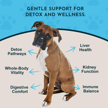 Animal Essentials Detox Blend - Liver Support for Dogs & Cats - Organic Herbal Formula - 30 ml