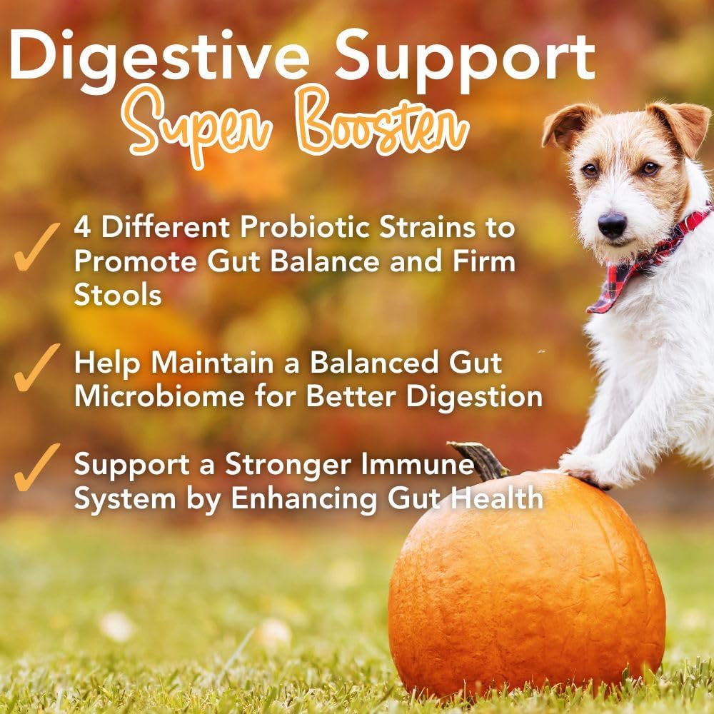 iHeartDogs Pupkin Probiotics, Prebiotics, Postbiotics, & Fibre for Dogs with Pumpkin, Gut-Soothing Bone Broth & Mushrooms - görsel 3