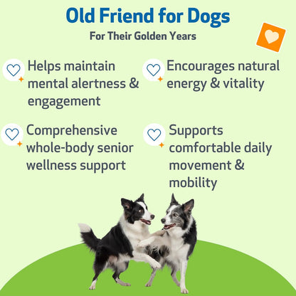 Pet Wellbeing Old Friend for Senior Dogs - Herbal Supplement for Immune, Joint, and Cognitive Support - 59 ml