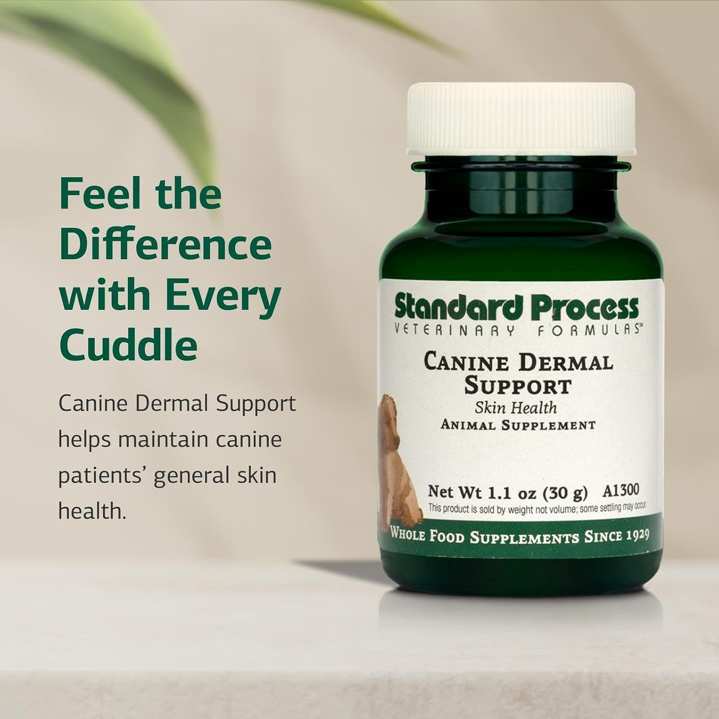 Standard Process Canine Dermal Support – Skin & Adrenal Support Supplement for Dogs – 30 g Powder - görsel 3