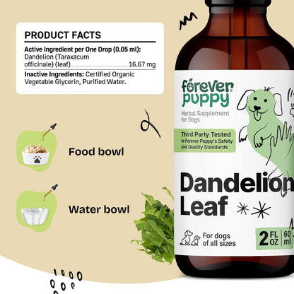 Forever Puppy Dandelion Leaf Drops for Dogs - Liquid Herbal Supplement for Kidney Support, 60 ml