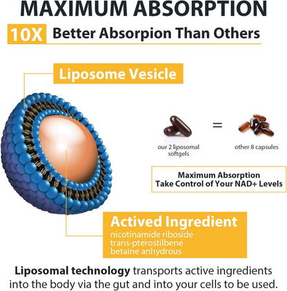 Orgabay Liposomal Nicotinamide Riboside 2000 mg with TMG and Pterostilbene, Boosting NAD+, Support Healthy Ageing, 120 Count