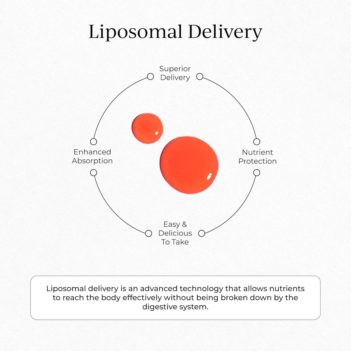 CYMBIOTIKA Liposomal Vitamin B12 Liquid Supplement – 1250 mcg - görsel 4