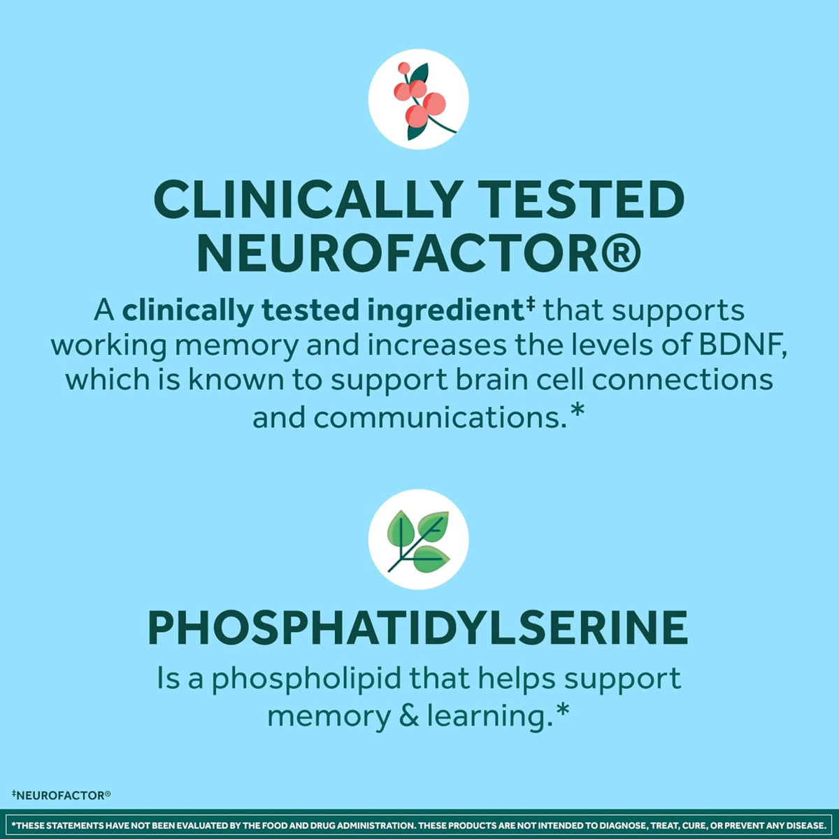 NEURIVA Plus Brain Supplements for Memory and Focus, Clinically Tested Nootropics Neurofactor and Phosphatidylserine with Vitamin B12, Vitamin B6, 50 Gummies, Strawberry Flavour - görsel 5