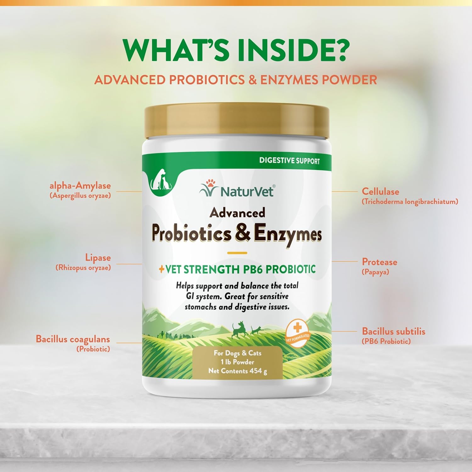 NaturVet – Advanced Probiotics & Enzymes - Plus Vet Strength PB6 Probiotic | Supports and Balances Pets with Sensitive Stomachs & Digestive Issues | for Dogs & Cats (454 g) - görsel 5