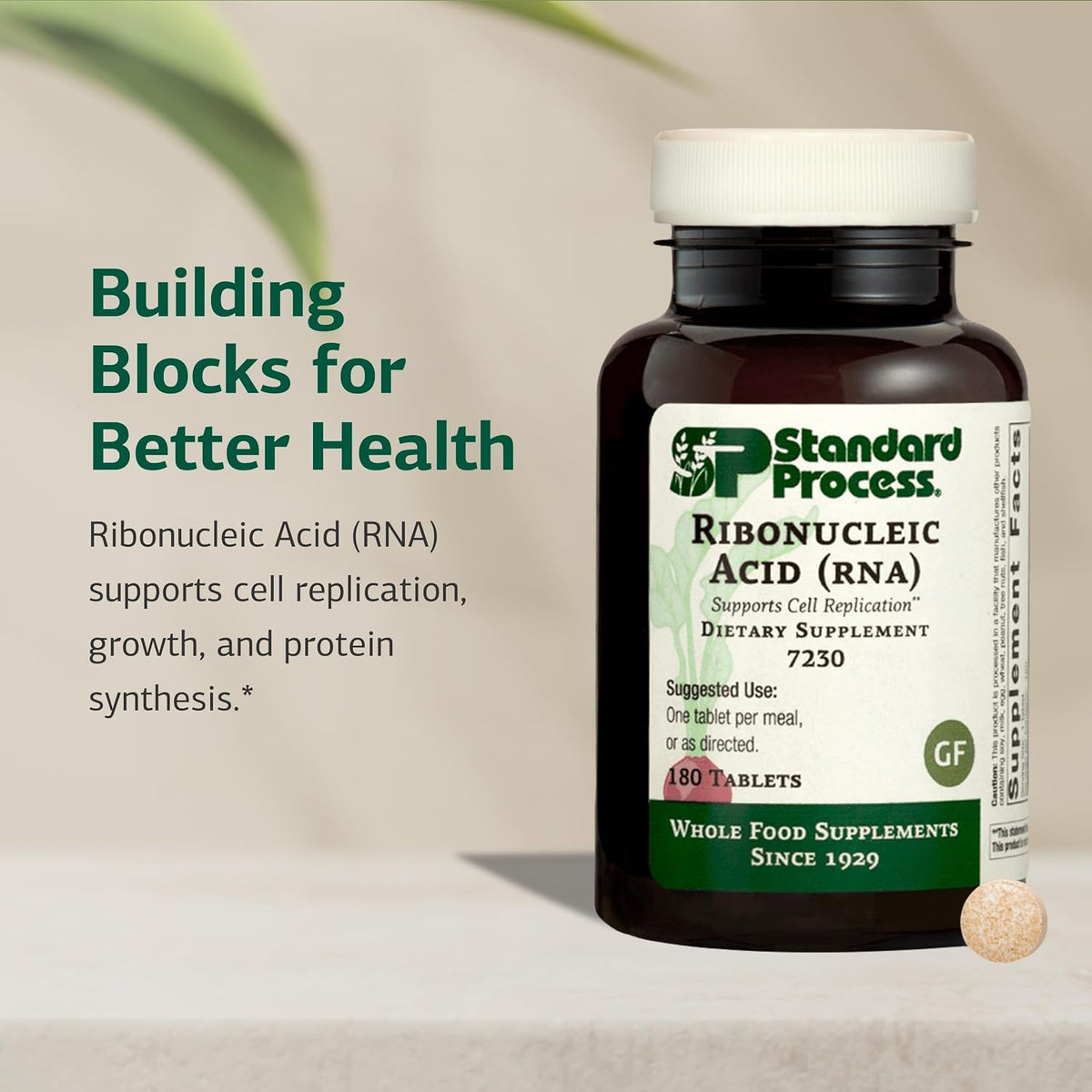 Standard Process Ribonucleic Acid RNA Food Supplement - Vegan, Gluten-Free, Non-Soya & Non-Grain - Cell Development Support - 180 Tablets - görsel 3
