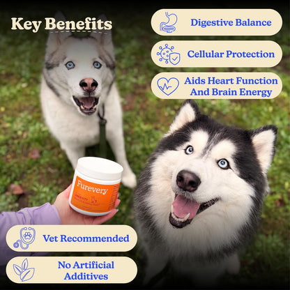 Furevery 11-in-1 Dog Multivitamin Chews – Chicken Flavour, Supports Immune, Joint, Coat, Heart & Energy – 60 Chews