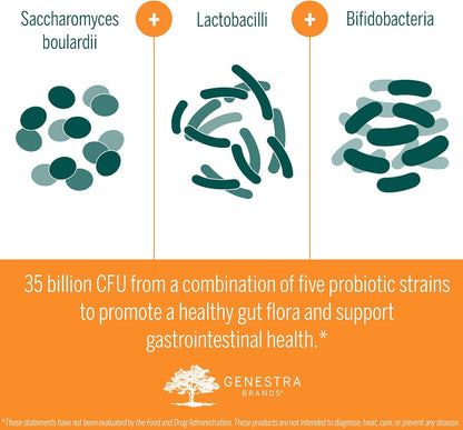 Genestra Brands - HMF Travel - Shelf Stable Probiotics to Support Gastrointestinal Health When Traveling - 30 Capsules