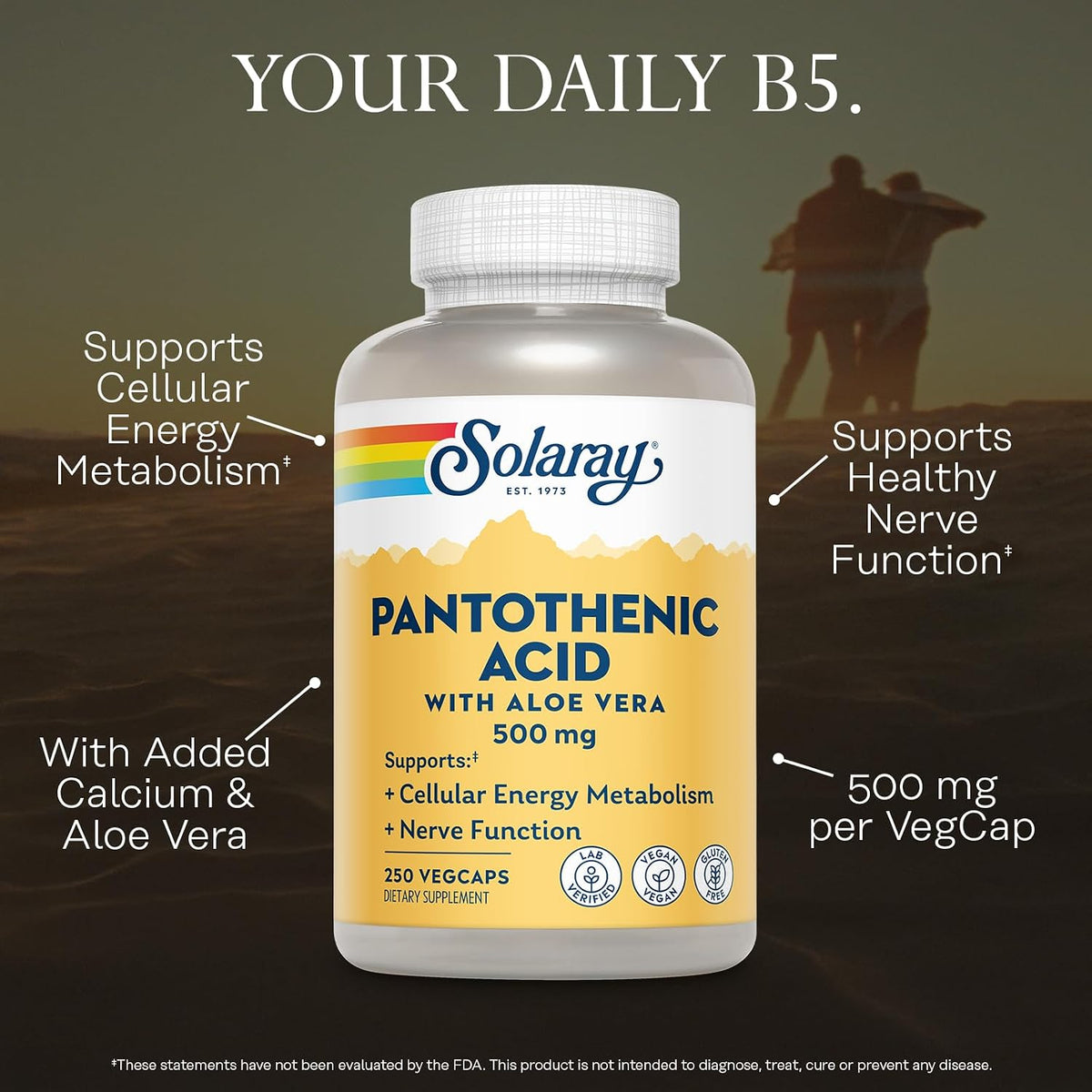 SOLARAY Pantothenic Acid 500mg – Vitamin B5 Supplement for Cellular Energy Support - görsel 3