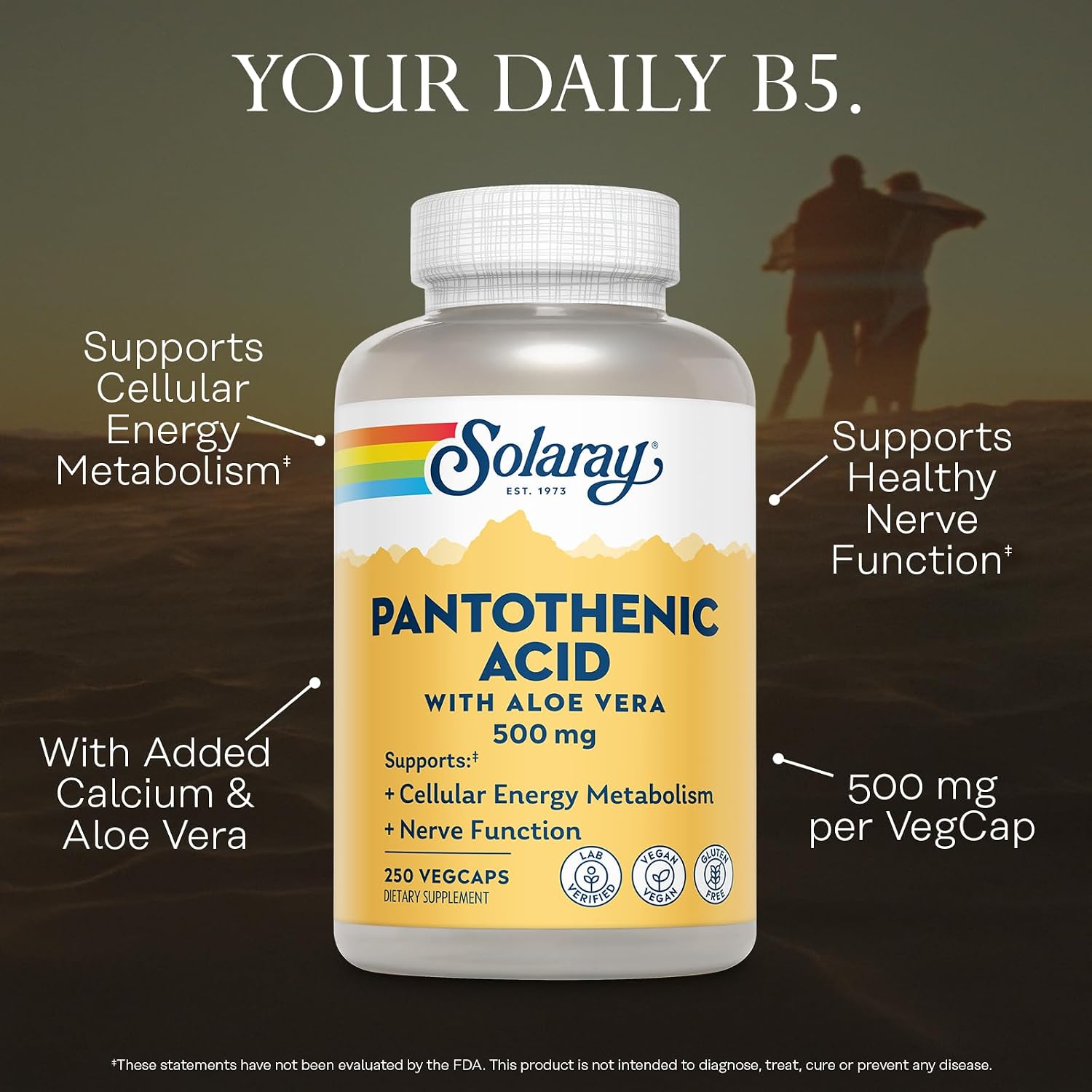 SOLARAY Pantothenic Acid 500mg – Vitamin B5 Supplement for Cellular Energy Support - görsel 3