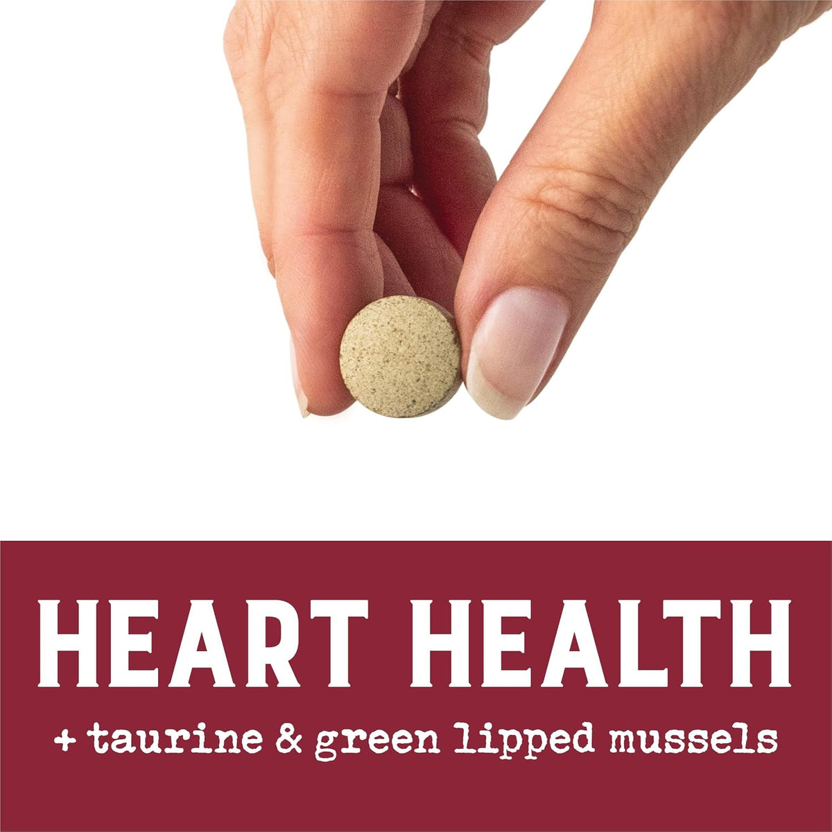 EverRoot Dog Heart Health Chewable Tablets with Taurine and Green-Lipped Mussels - görsel 2