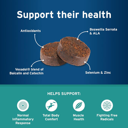 Pet Protect Whole Body Comfort+ Supplement for Dogs, Vet-Formulated Alenza, Chicken-Flavoured Soft Chews (60 Chews)