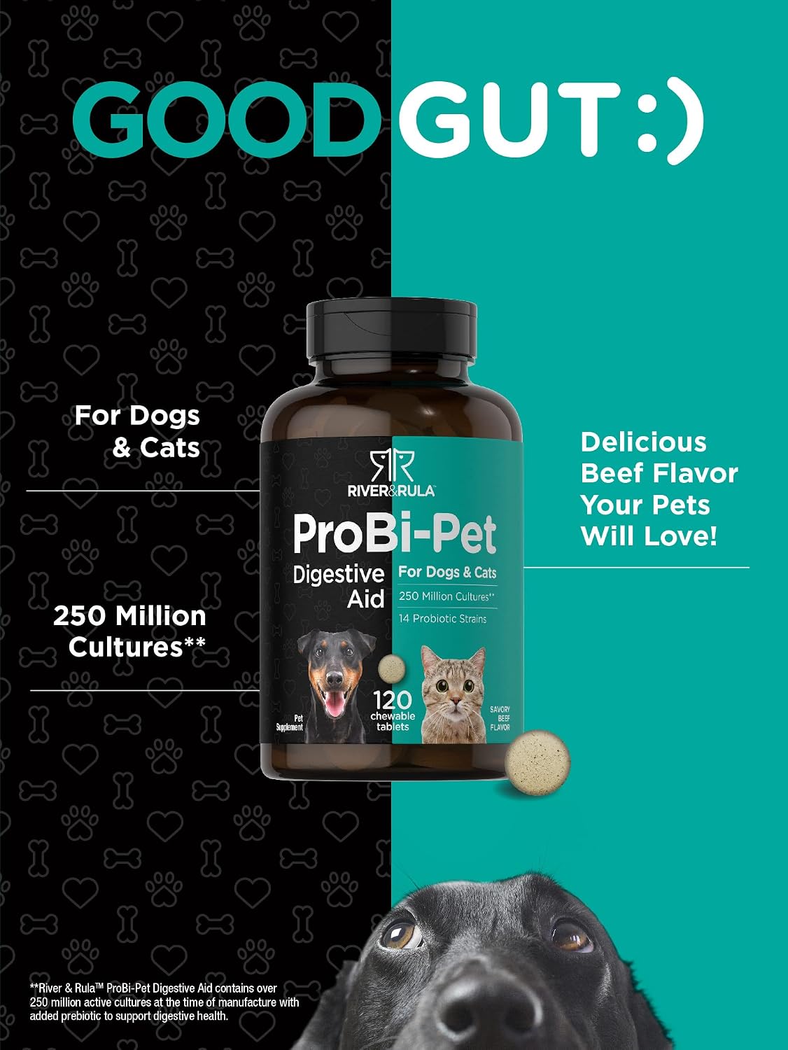 Horbaach Probiotics for Dogs & Cats – 120 Chewable Tablets – Digestive Health Supplement with 14 Probiotic Strains – Savoury Beef Flavour - görsel 3