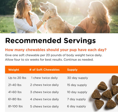 Nutri-Vet Shed Defence Soft Chews for Dogs – Omega 3 Fish Oil Skin & Coat Supplement, 60 Chews