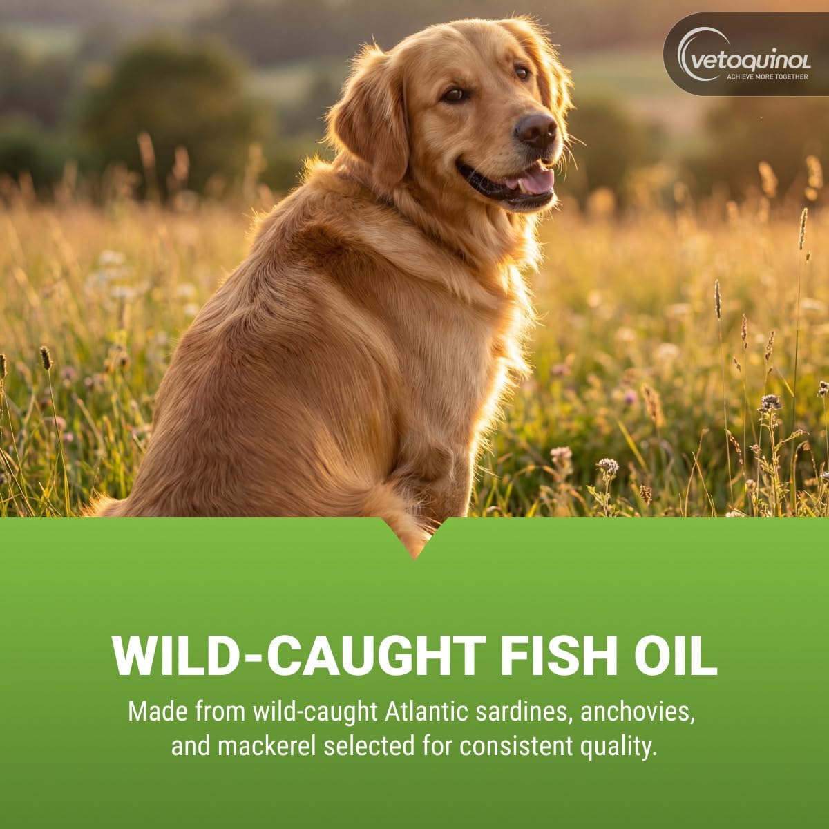 Vetoquinol Triglyceride Omega - Fish Oil for Dogs & Cats - 60 Capsules - görsel 4