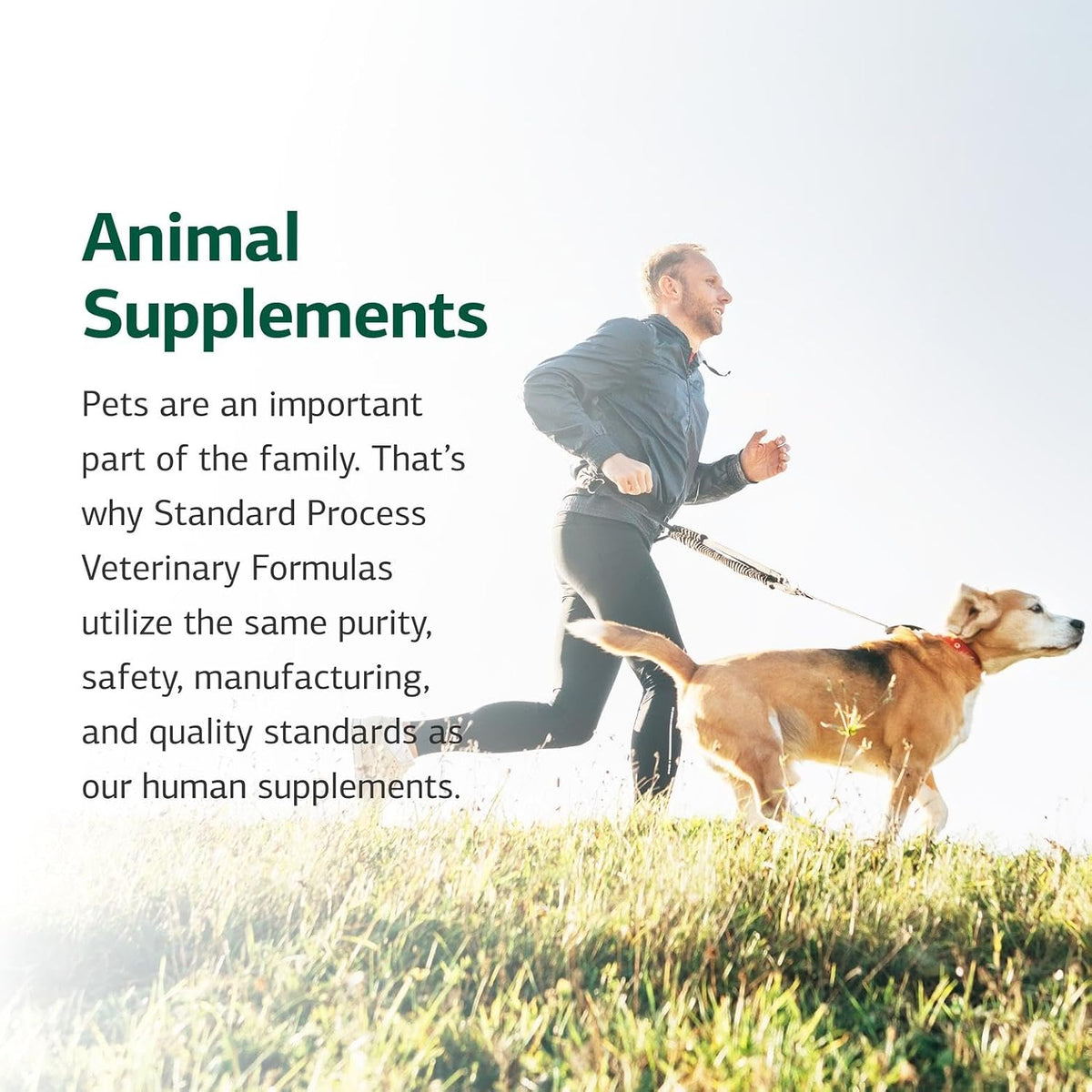 Standard Process Inc. Canine Cardiac Support - Dog Heart Health Supplement - Nutritional Formula to Support Cardiac Function - Pet Health Supplement with Selenium - 25 g - görsel 6