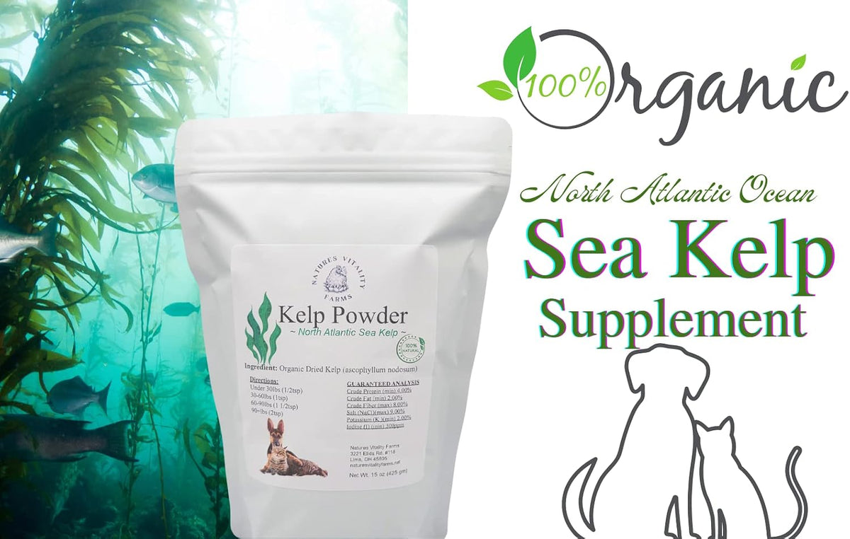 Kelp Powder for Dogs and Cats - Natural North Atlantic Sea Kelp - Vitamins, Minerals & Antioxidants - 15 oz (425 g) - görsel 2