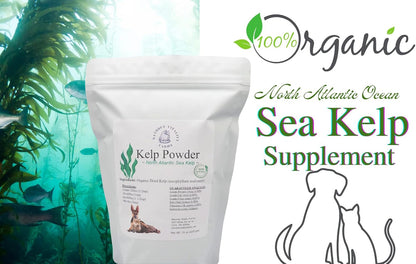 Kelp Powder for Dogs and Cats - Natural North Atlantic Sea Kelp - Vitamins, Minerals & Antioxidants - 15 oz (425 g)