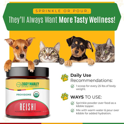 Ziggy Marley's USDA Organic Reishi Mushroom Powder for Dogs & Cats – Fruiting Body Extract, 90g