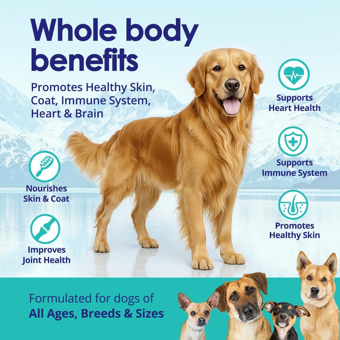 Liquid Fish Oil for Dogs with Omega 3, 6 & 9 Fatty Acids, Wild Caught from Iceland, Skin and Coat Supplement for Shedding, Itchy Skin, Allergies, Brain and Heart Health, Rich in EPA + DHA - 946 ml - görsel 4