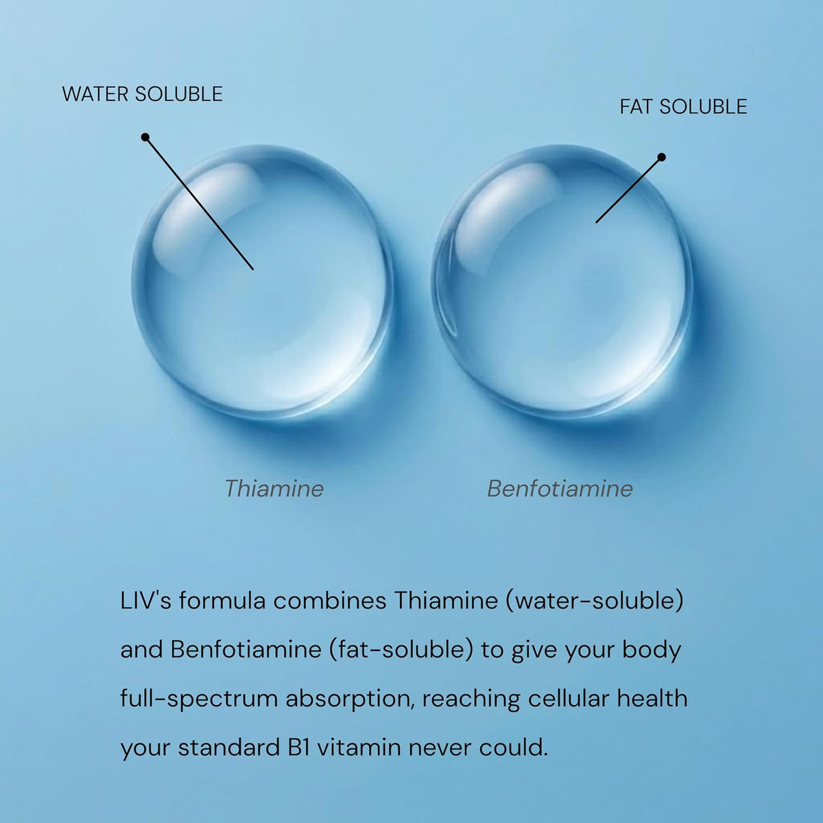 LIV Vitamin B1 Liquid – Thiamine & Benfotiamine Supplement – Fast-Absorbing Liquid Drops – 60 ml - görsel 4