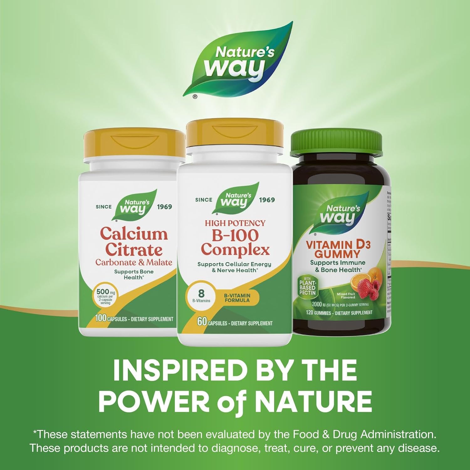 Nature's Way B-100 Complex, 60 Capsules - görsel 7