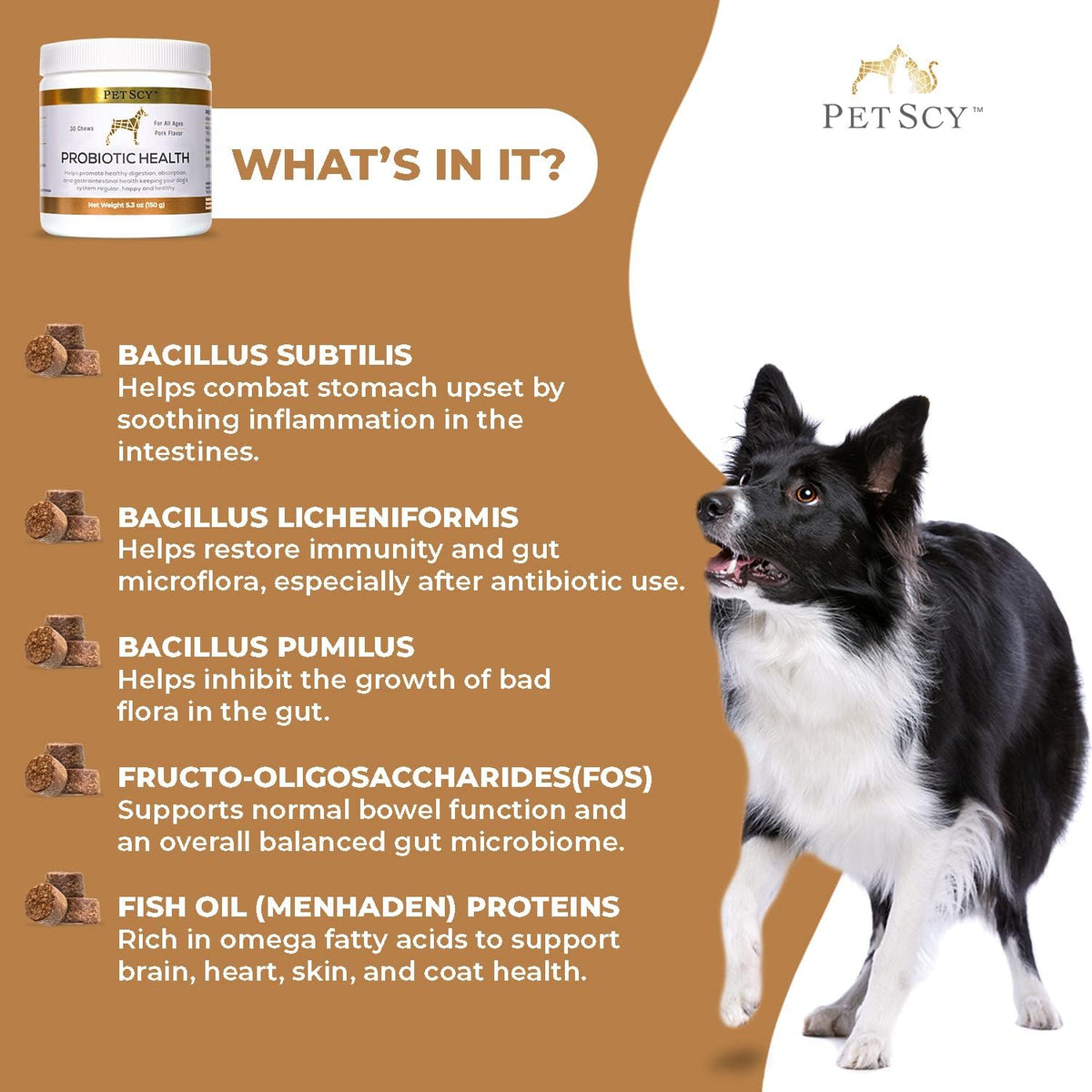 Probiotic Chews for Dogs by PetScy – 30 Chews with Prebiotic Fibre and Omega-3 - görsel 4
