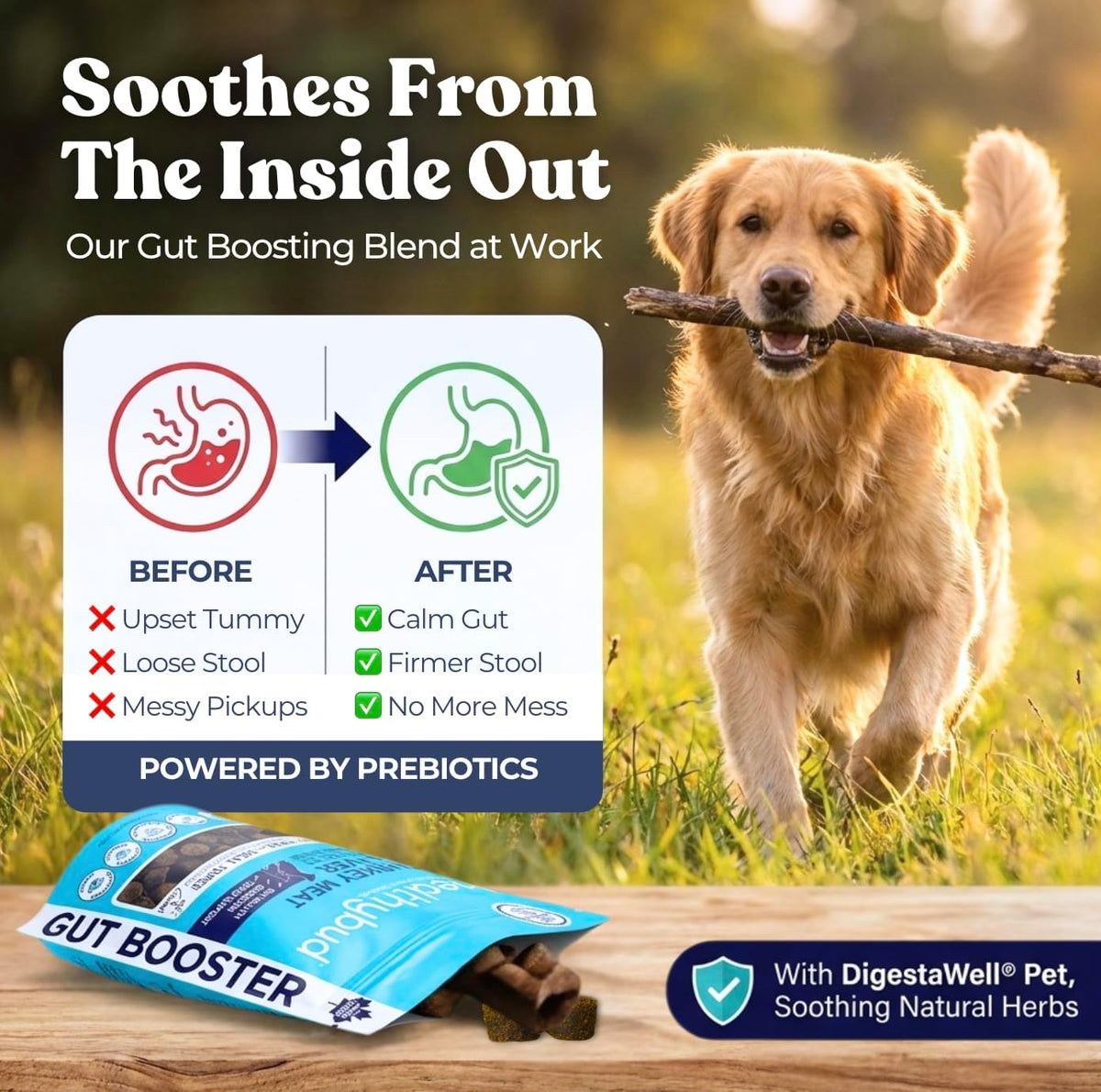 Healthybud Dog Probiotic Chews – Digestive & Gut Health Support - görsel 2