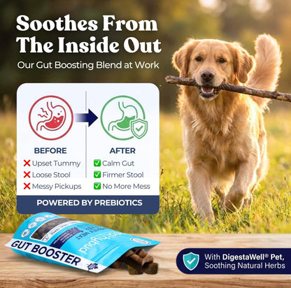 Healthybud Dog Probiotic Chews – Digestive & Gut Health Support
