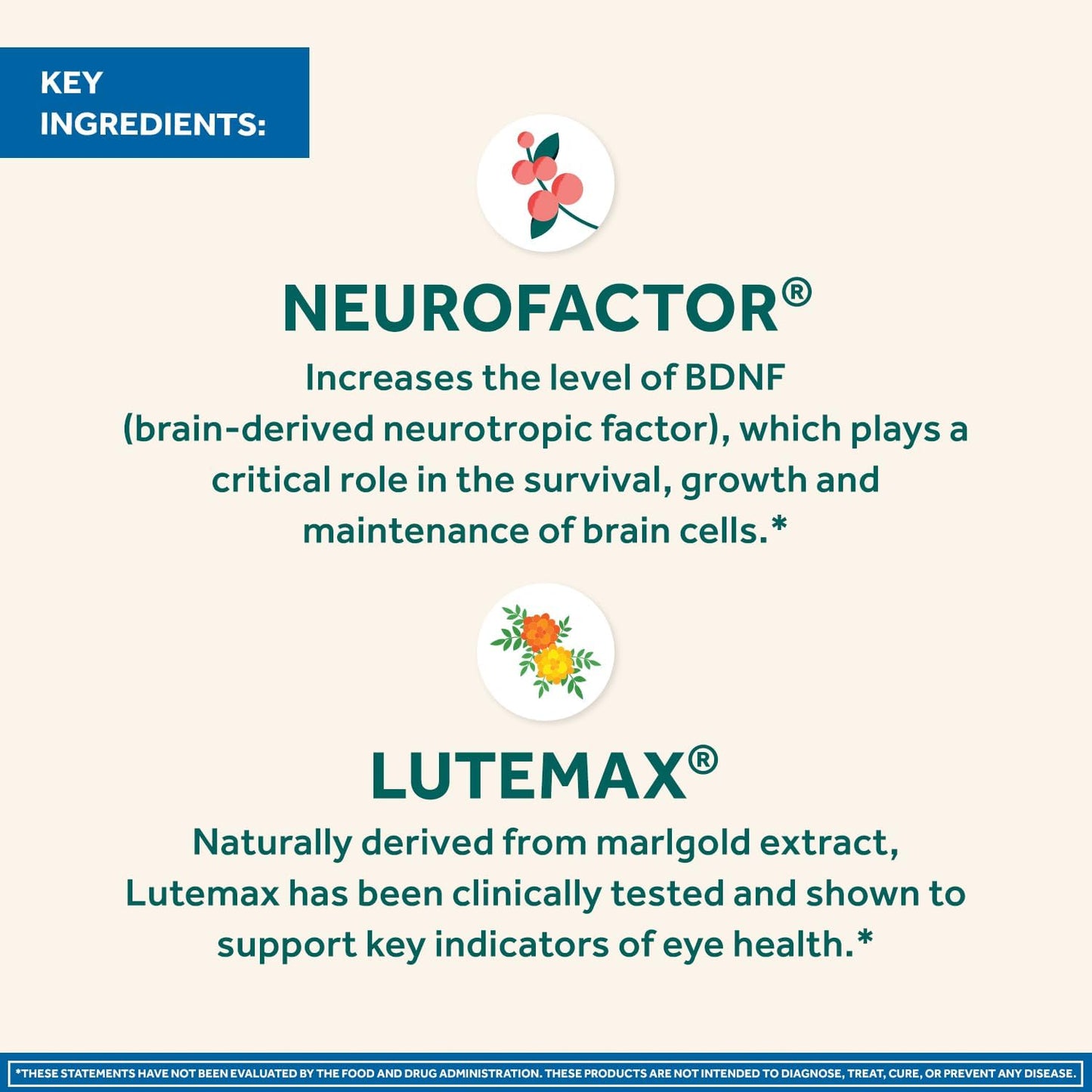 NEURIVA Brain + Eye Supplement for Memory, Focus & Concentration with Lutein & Vitamins A, C, E and Zinc for Eye Health & Zeaxanthin to Filter Blue Light, 30ct Capsules (2 Pack) - görsel 4