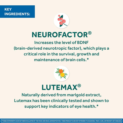 NEURIVA Brain + Eye Supplement for Memory, Focus & Concentration with Lutein & Vitamins A, C, E and Zinc for Eye Health & Zeaxanthin to Filter Blue Light, 30ct Capsules (2 Pack)