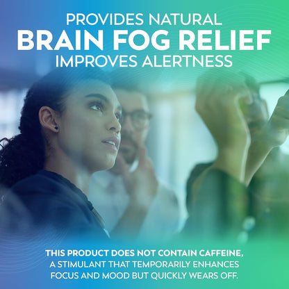 Brain Supplements for Memory and Focus – Dr Lewis Daily Brain Care Powder with Aloe Vera – Plant-Based Nootropic and Vitality Support for Brain Fog, Mental Clarity and Daily Wellbeing – Powder, 150g
