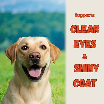 Salmon Oil for Dogs and Cats, Fish Oil for Skin and Coat Health, Omega-3 EPA & DHA Liquid Supplement (237 ml)