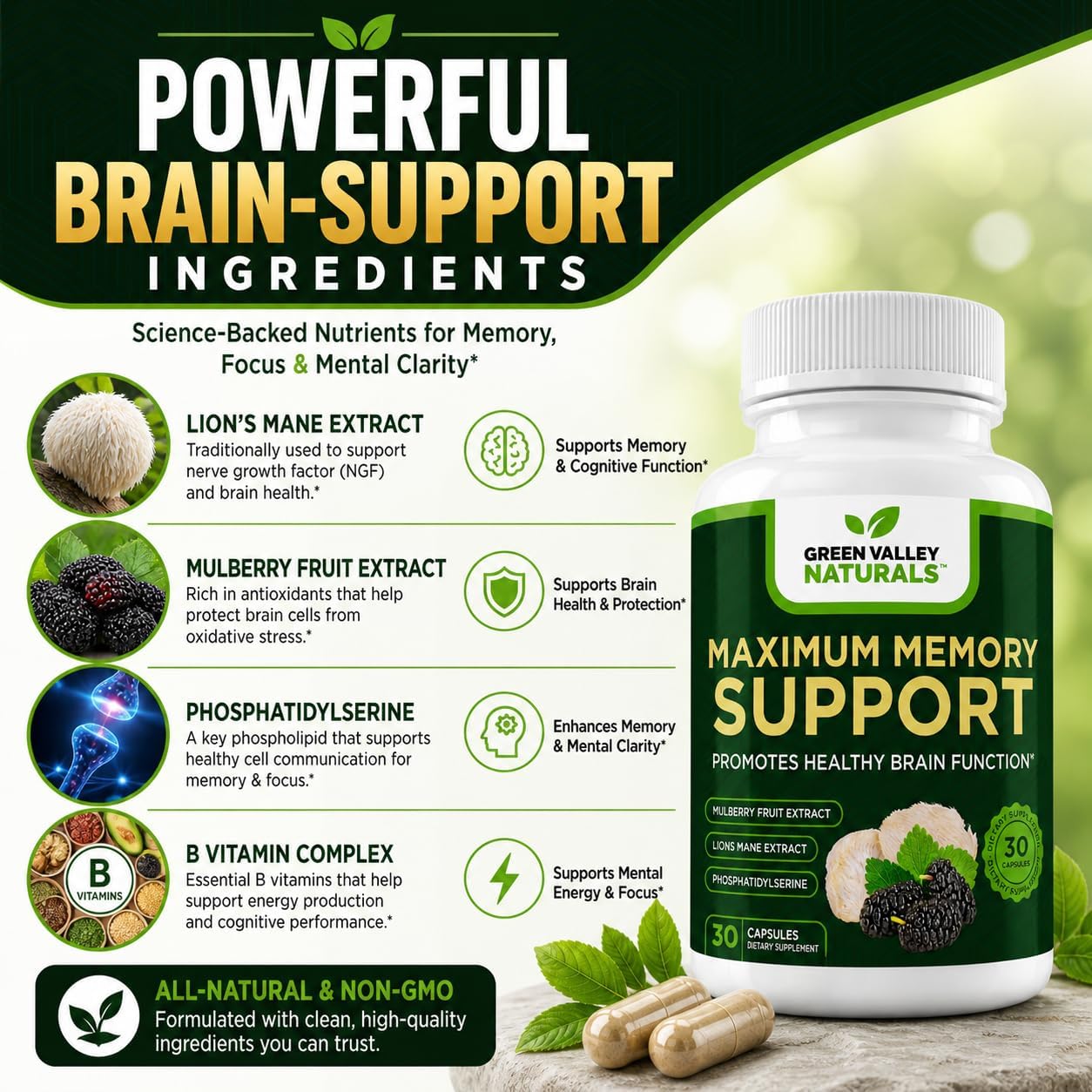 Green Valley Naturals Maximum Memory Support | Cognitive Formula with Lion's Mane, Mulberry, Phosphatidylserine & Methylated B Vitamins | 30 Capsules - görsel 2