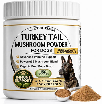 Turkey Tail Mushroom for Dogs – Organic – Reishi ( Ganoderma lucidum ): Known as the “mushroom of immortality,” – Image 7