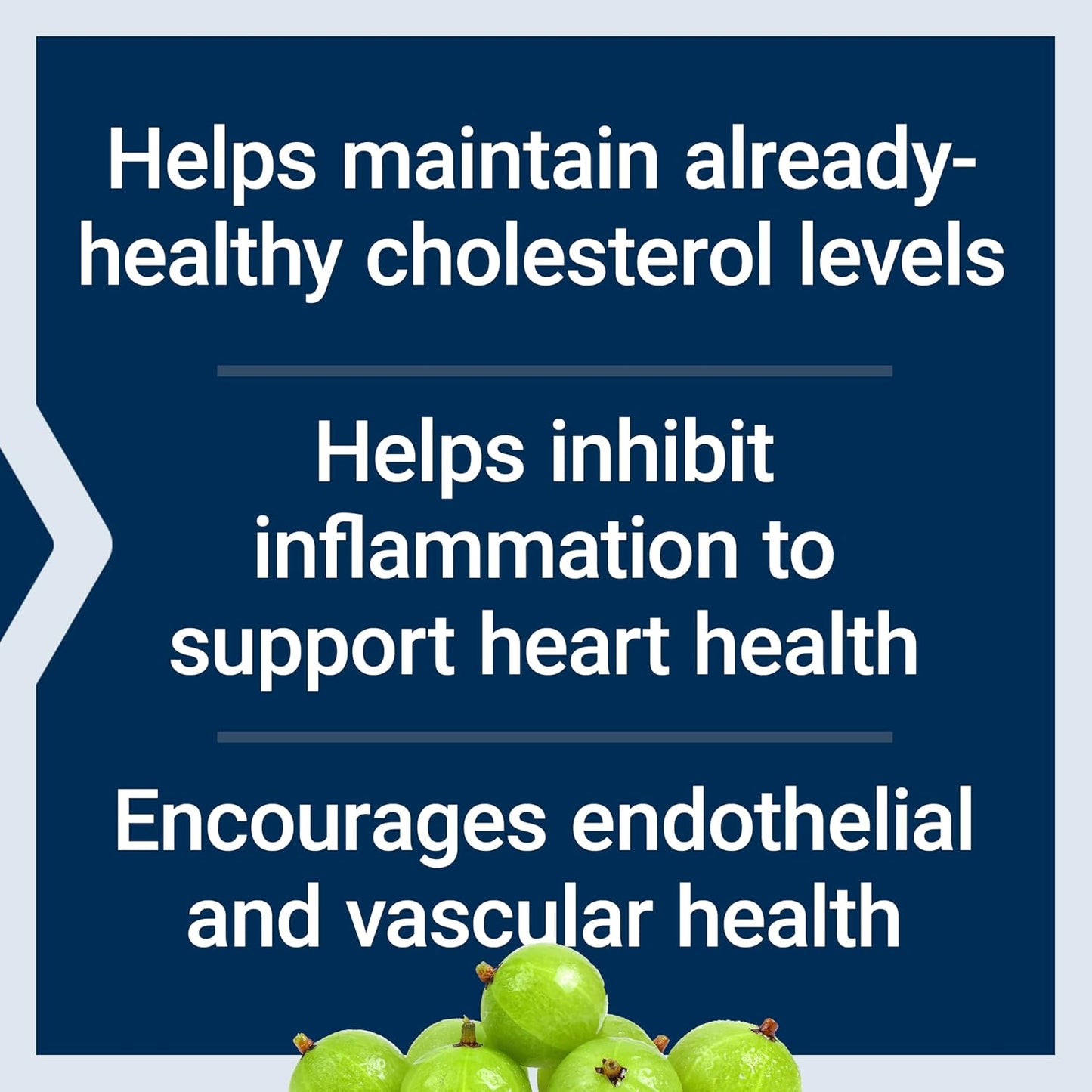 Life Extension Advanced Lipid Control, Amla Extract – Heart Health Support, 60 Capsules - görsel 4