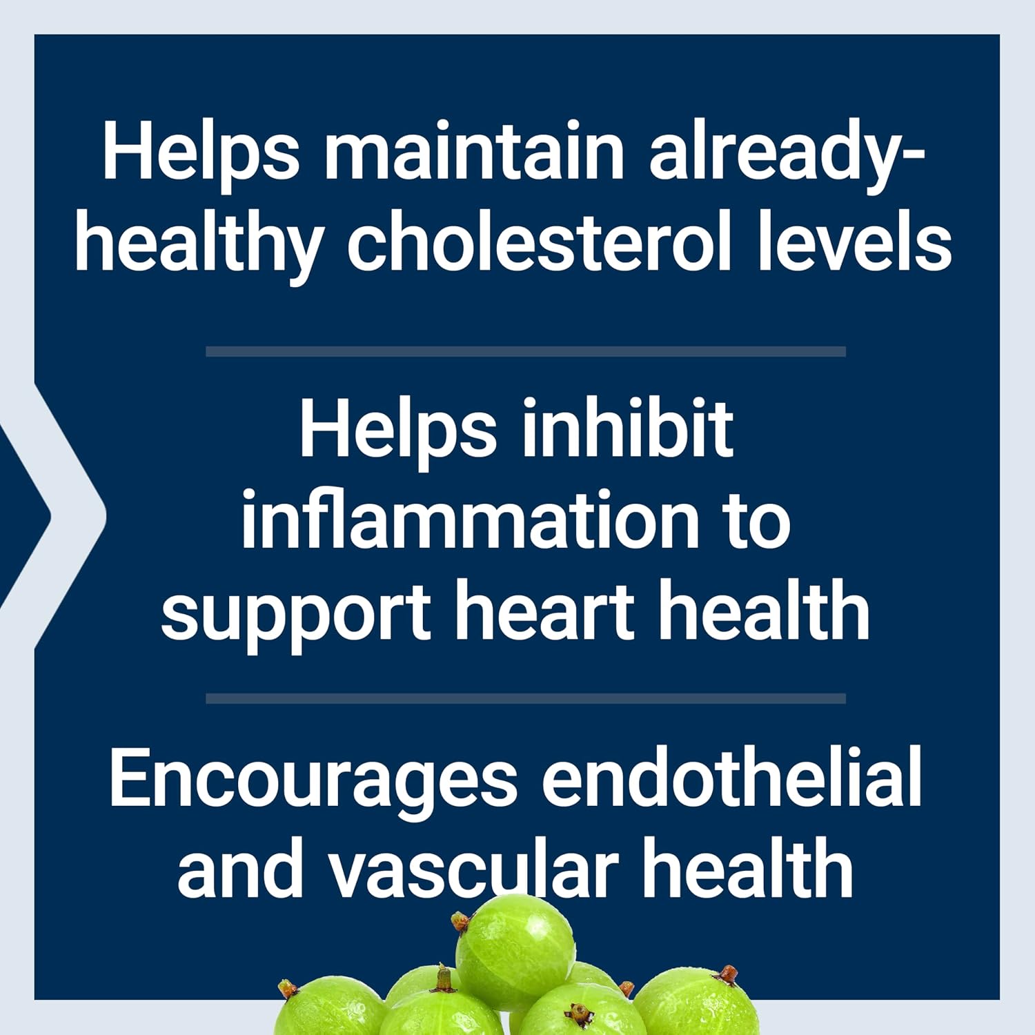 Life Extension Advanced Lipid Control, Amla Extract – Heart Health Support, 60 Capsules - görsel 4