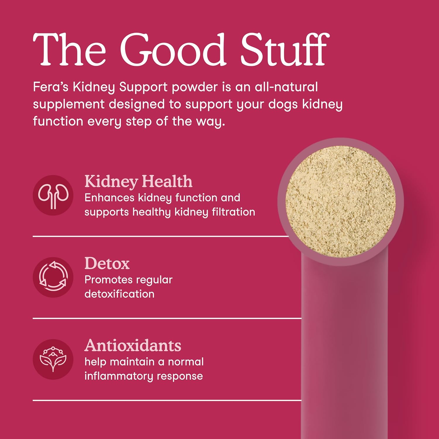 Fera Pets Dog Kidney Support with Probiotics - Powder, 60 Scoops - görsel 2