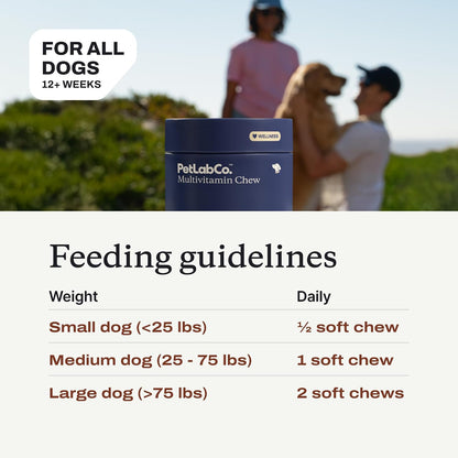 PetLab Co. 22 in 1 Dog Multivitamin - Support Dog's Immune Response, Skin, Coat, Joints & Overall Health - Vitamins A, E, D, B12, Minerals, Antioxidants - Chewable Pork Flavour