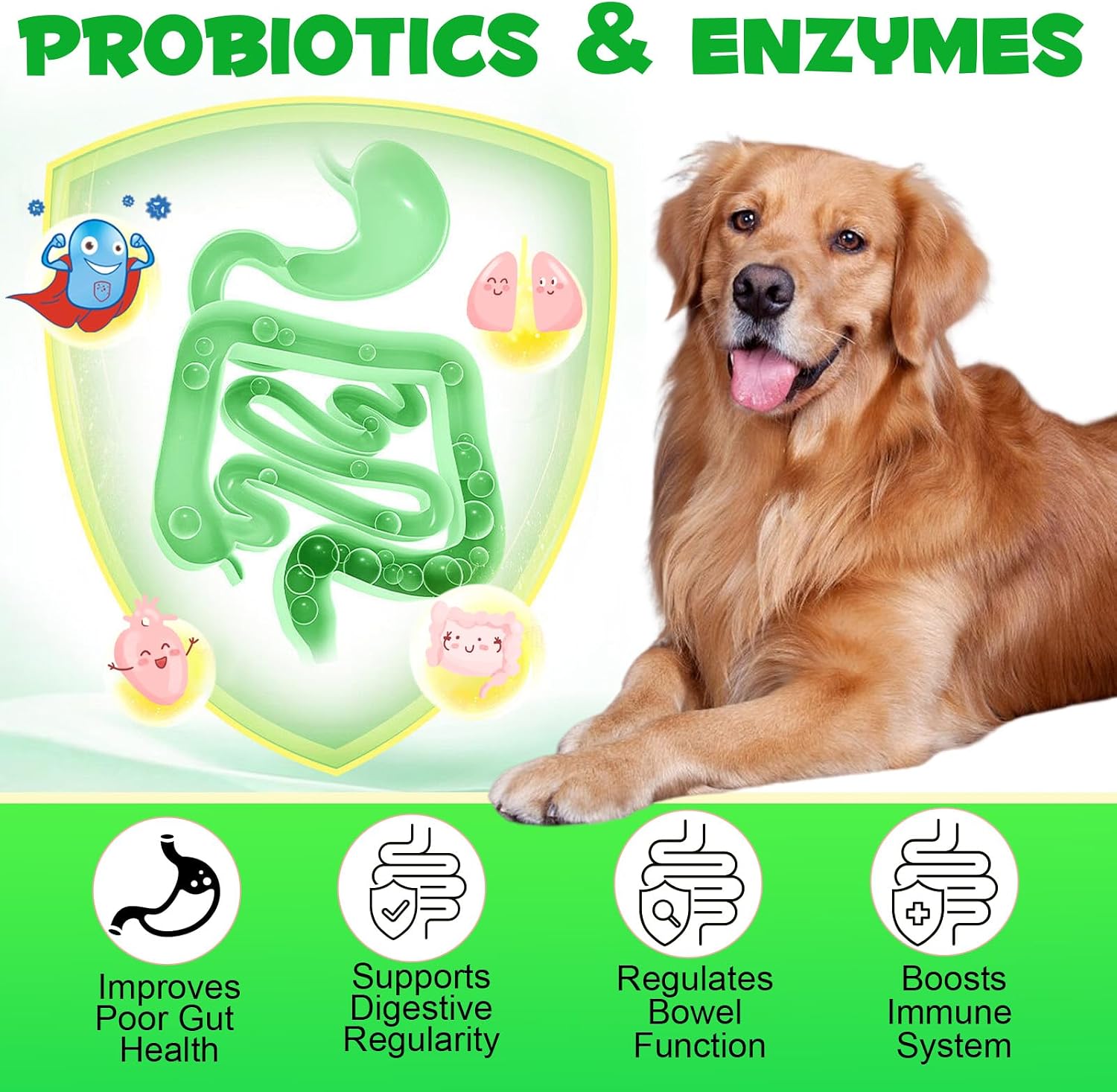 Probiotics for Dogs, 180 Chews Dog Probiotics and Digestive Enzymes, Promotes Digestive Health, Digestive Regularity, Immune Health, Tan - görsel 3