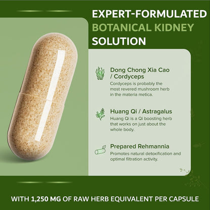 Kidney Sure – Organic Kidney Cleanse & Revitalisation Tonic